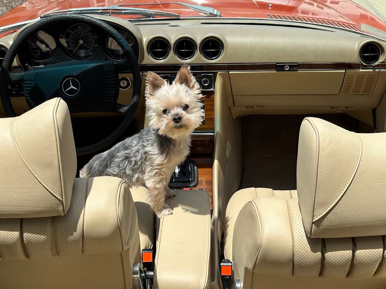 1978 Mercedes-Benz 450SL — Interior