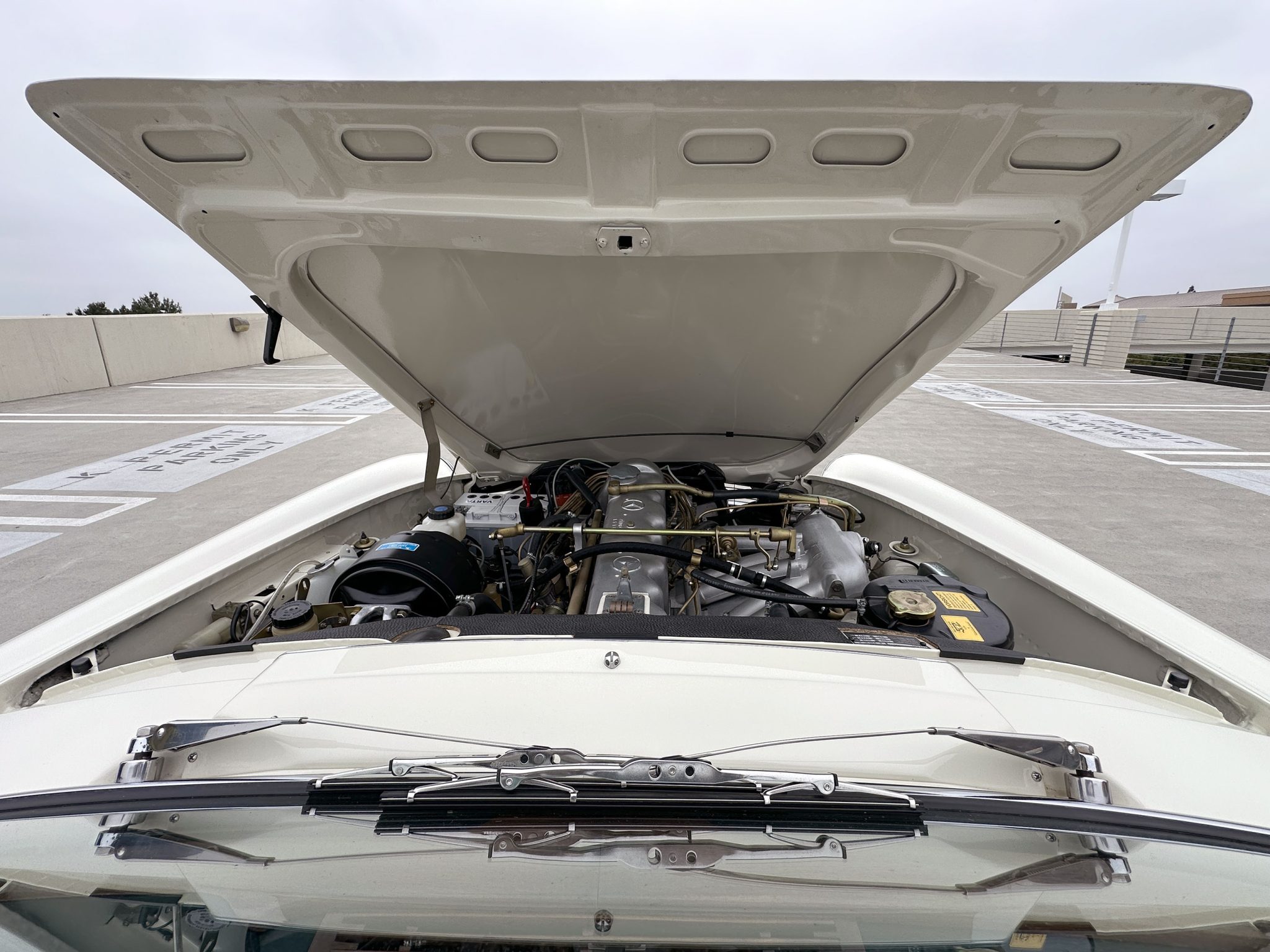 1965 Mercedes-Benz 230SL - Motor