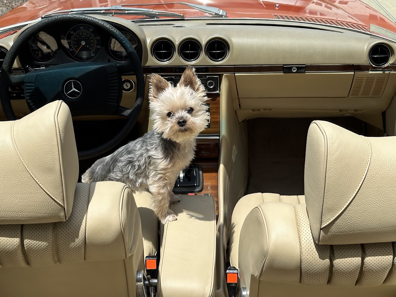 1978 Mercedes-Benz 450SL - Interior